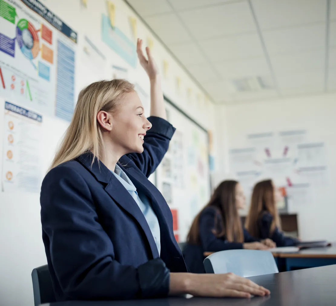 Student In Class With Hand Up Portrait